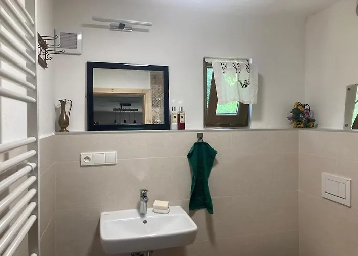 Prázdninový dům Dvůr Metlice *