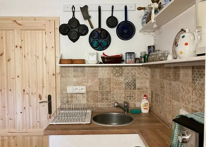 Prázdninový dům Dvůr Metlice *
